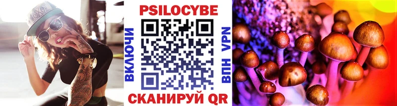 Псилоцибиновые грибы Cubensis Междуреченск