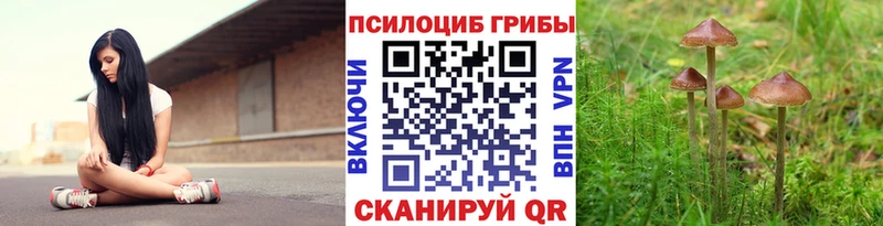 Псилоцибиновые грибы мицелий  Междуреченск 