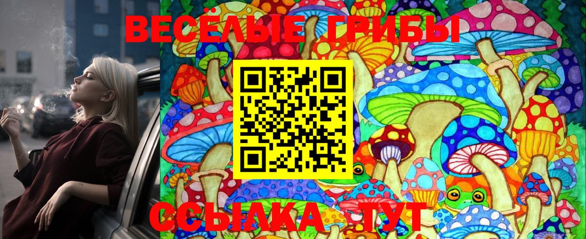 Псилоцибиновые грибы GOLDEN TEACHER Междуреченск